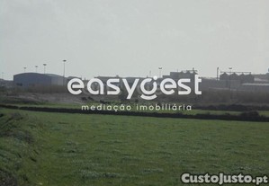 imagem_6