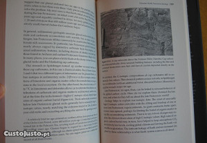 imagem_6