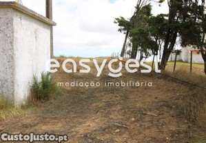 imagem_17