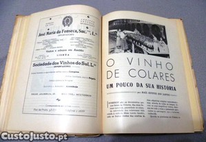 imagem_3