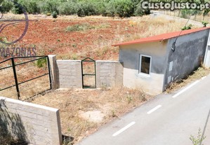imagem_7