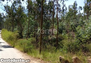 Terreno Florestal 20000 M2 Em Vilarinho Das Cambas