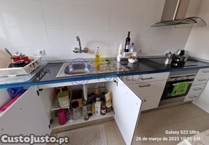 imagem_13