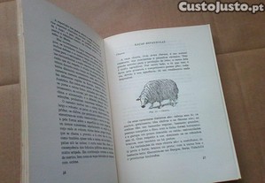 imagem_8