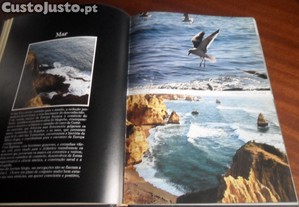 imagem_7