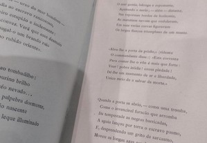 imagem_8