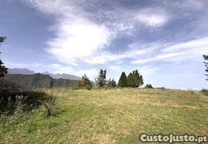imagem_10