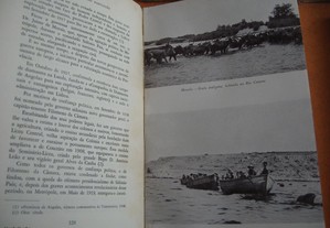 imagem_6