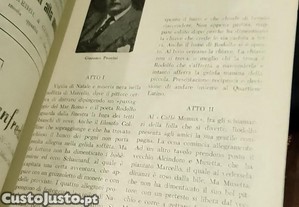 imagem_11