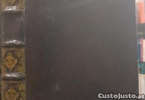 imagem_13