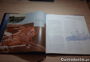 imagem_4