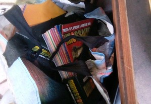 imagem_2