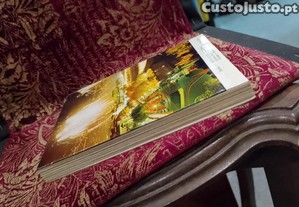imagem_15