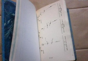 imagem_6