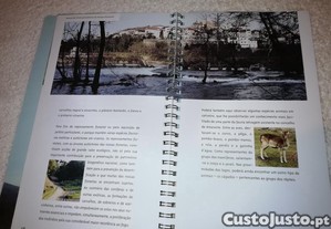 imagem_6