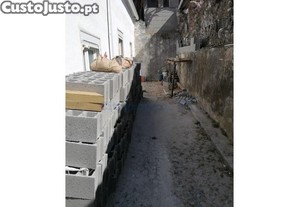 imagem_15