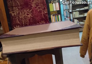 imagem_12
