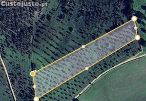 Terreno misto em Galveias