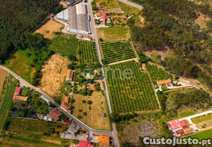 Quinta Kiwis, 1,7Ha, 2 Casas, Piscina, Estrada...