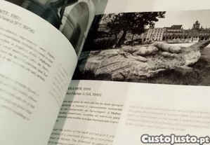 imagem_8