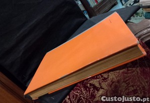 imagem_9
