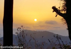 imagem_12