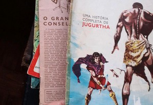 imagem_3