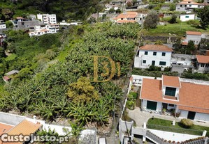 imagem_7