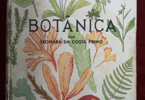 "Botânica" de Seomara da Costa Primo