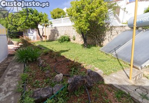 imagem_15
