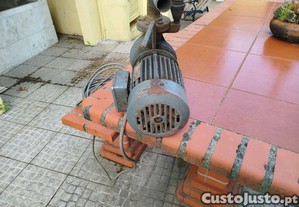 imagem_3