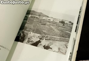 imagem_7