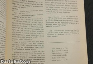 imagem_8