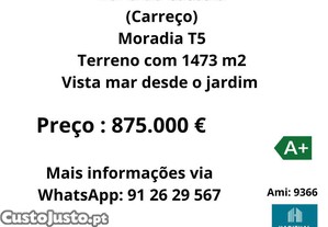 imagem_1