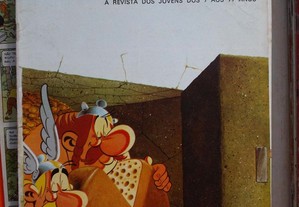 imagem_3