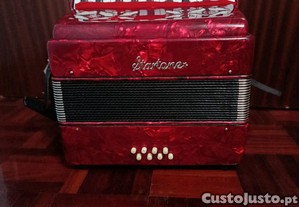 Acordeo Startone