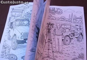 imagem_3
