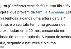 imagem_8
