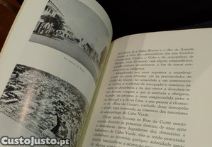 imagem_7