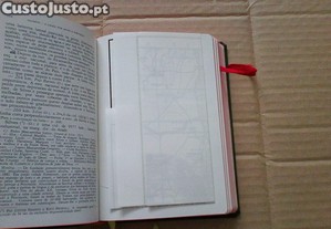 imagem_5
