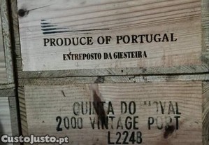 imagem_5