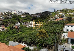 imagem_8