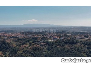 imagem_11