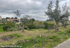 Terreno em Martinchel, Abrantes