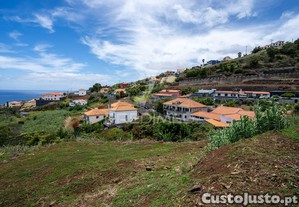 imagem_7