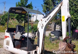 Bobcat