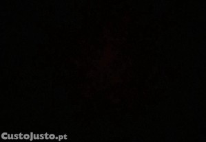 imagem_16