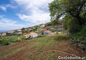 imagem_5