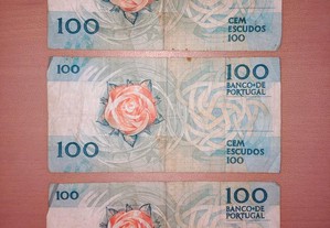 imagem_6