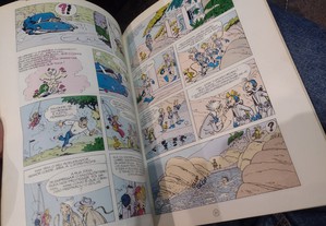 imagem_3